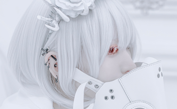 aphroditeメンバー写真